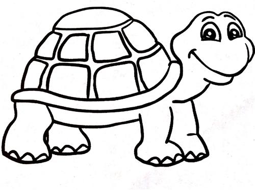 Smiling Tortoise